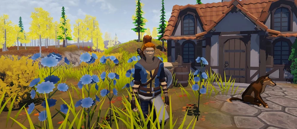 Интервью VGTimes с автором инди-хита Gedonia. Как россиянин со своей игрой обогнал Elden Ring в топе продаж Steam