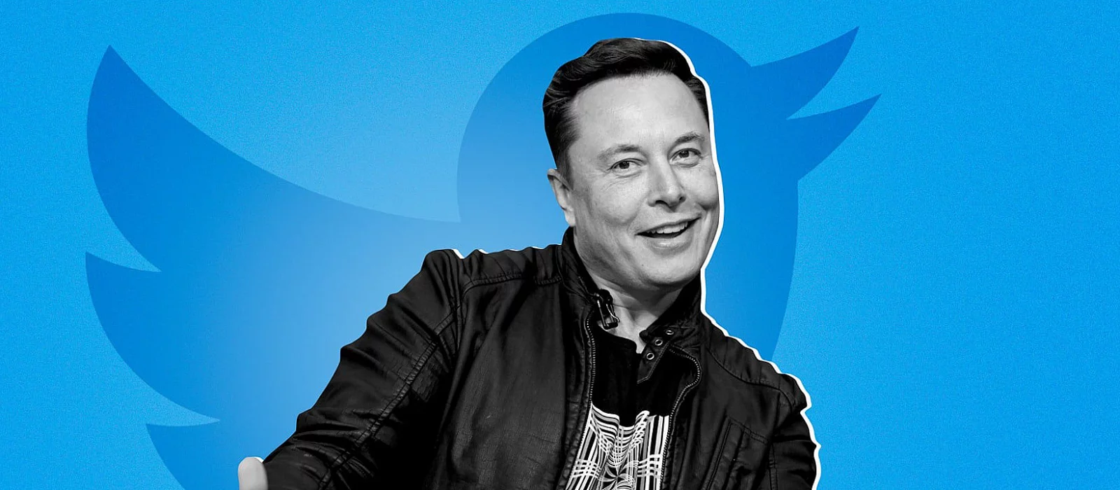 Elon musk steam фото 27