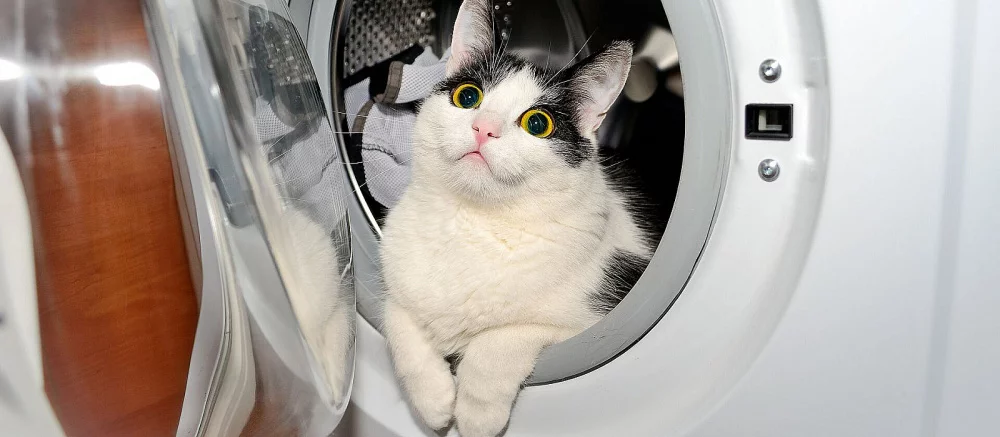 В Японии придумали «стиральную машину для людей»