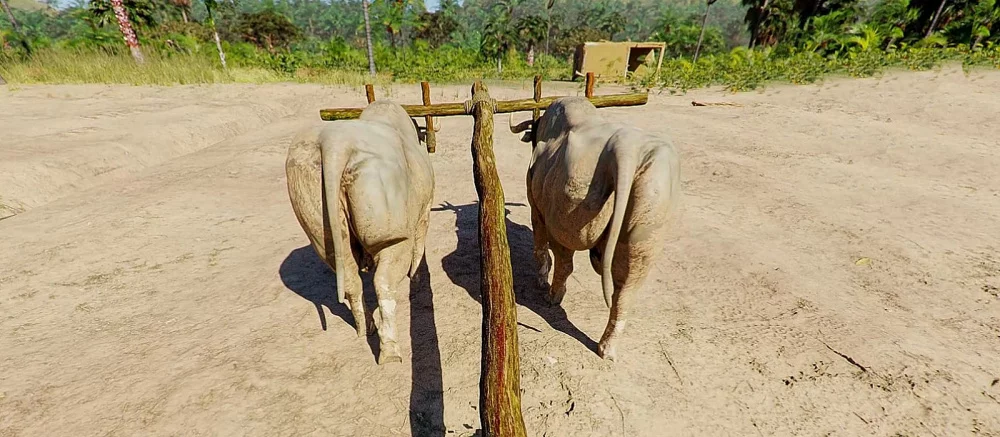 Анонсирован симулятор фермера в Древней Греции