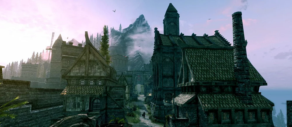 Геймер спокойно играл в Skyrim, как вдруг графика упала до времен PS One. Игра стала похожа на Valheim