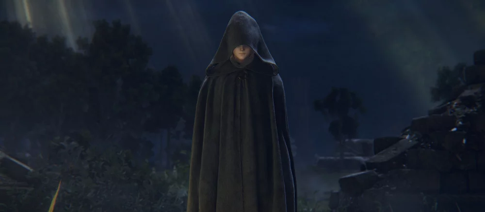 TGA 2022 закончилась арестом подростка, вышедшего на сцену с FromSoftware. Кажется, его личность уже раскрыли