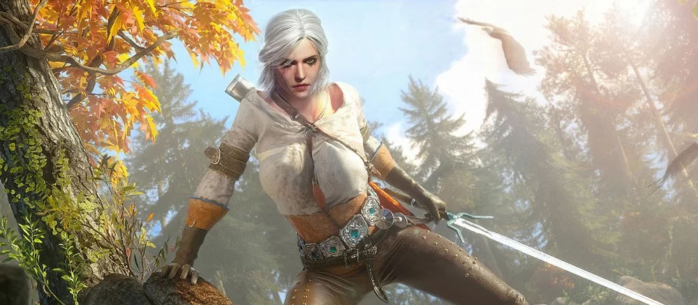 Автор мода с женскими гениталиями для The Witcher 3 заявил, что CDPR не спрашивала разрешения на использование