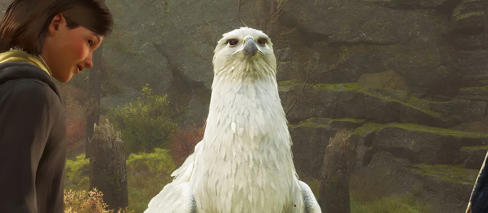 Как ловить и приручать существ в Hogwarts Legacy — где найти всех волшебных тварей