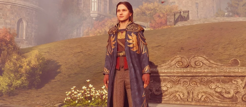 Как собрать все жетоны факультета в Hogwarts Legacy и получить уникальную мантию