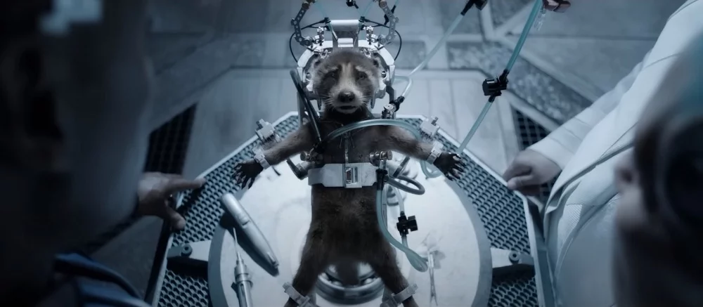 Малыш-Ракета и неловкий момент с Небулой: вышел новый трейлер «Стражей галактики 3»