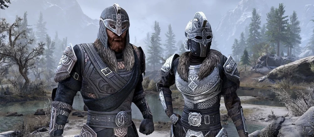 Авторы TES Online без разрешения взяли арт российской художницы и сделали платный скин