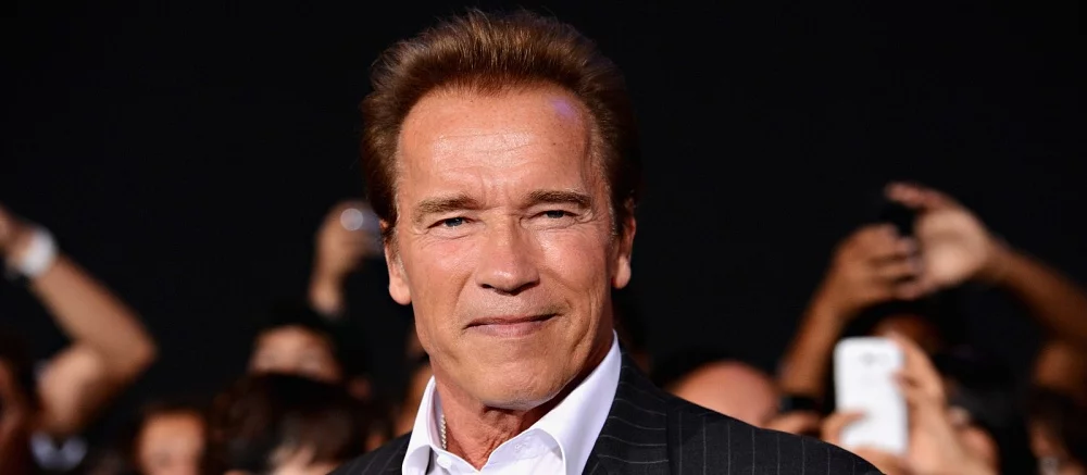 «Давайте не жаловаться, а делать что-то сами»: Арнольд Шварценеггер починил дорогу в своем районе — видео