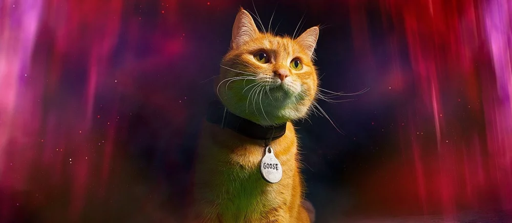 Вышел первый трейлер нового кинокомикса «Марвелы». В нем показали инопланетную кошку Гусю