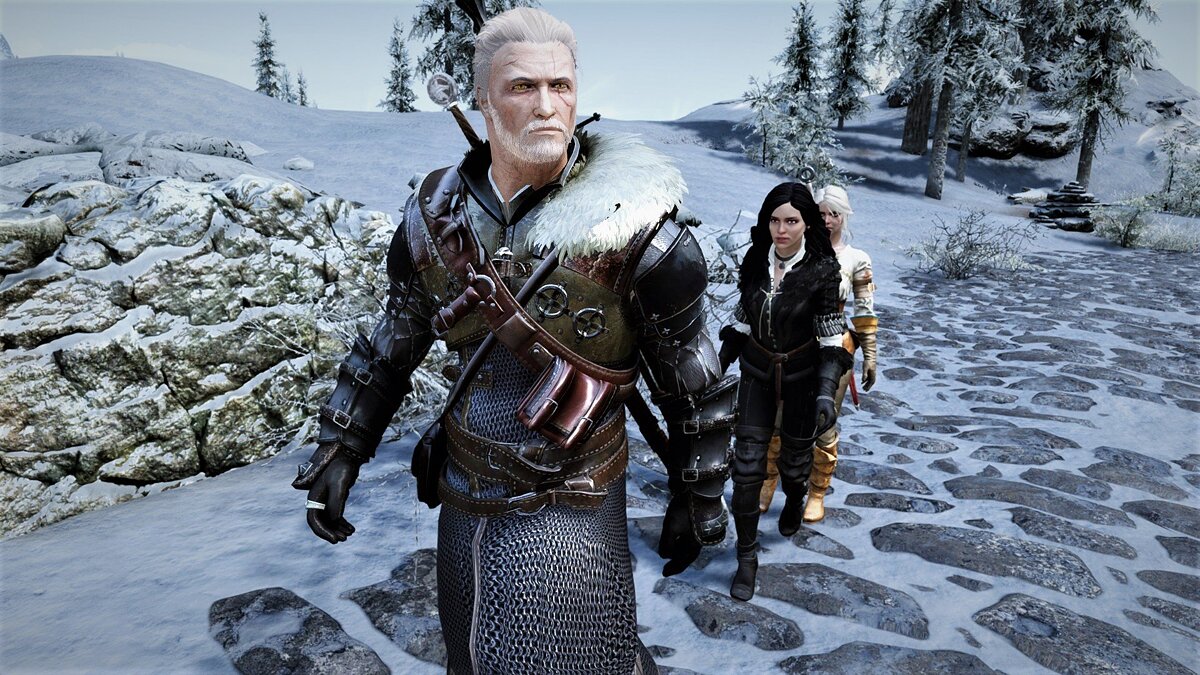 Bear armor the witcher 3 фото 114