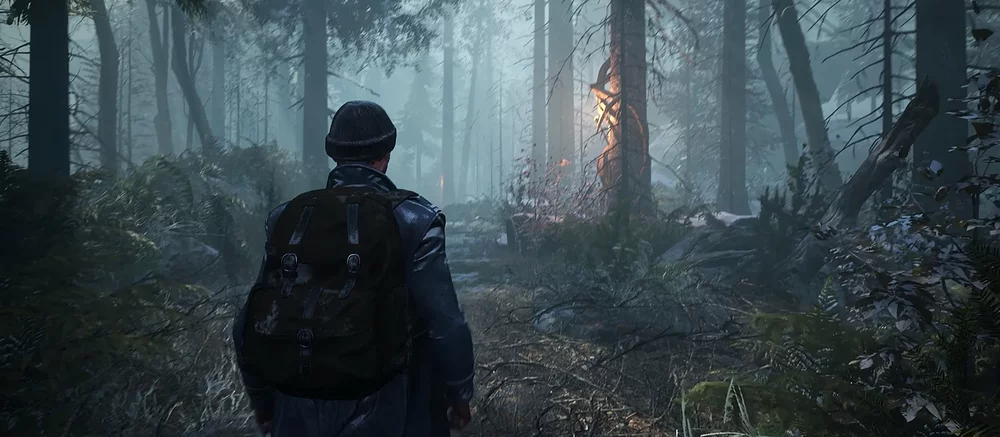 В Steam появились скриншоты сурового постапокалиптического экшена, который сравнивают с The Last of Us