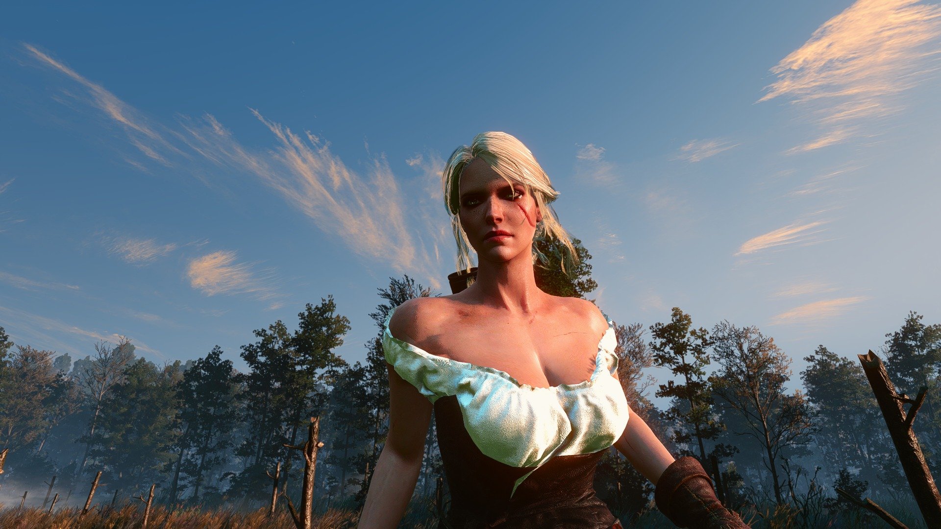 The witcher 3 ciri face фото 102