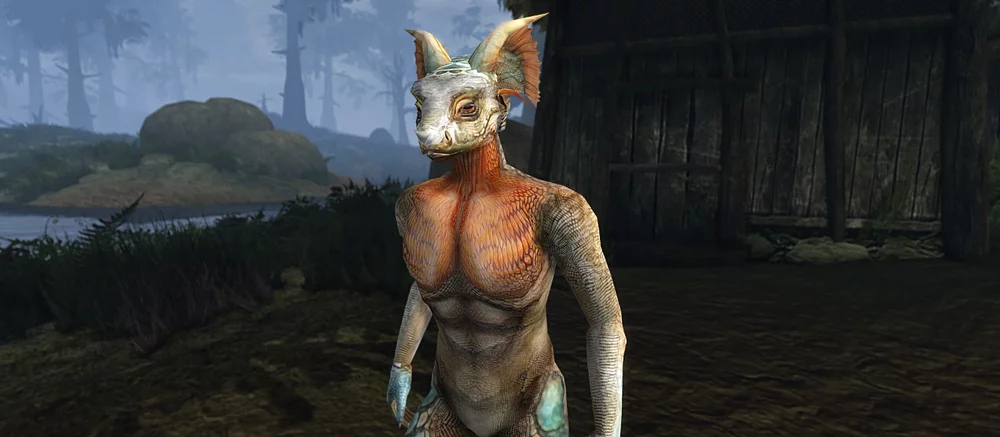 Появились новые кадры масштабных ремейков Oblivion и Morrowind