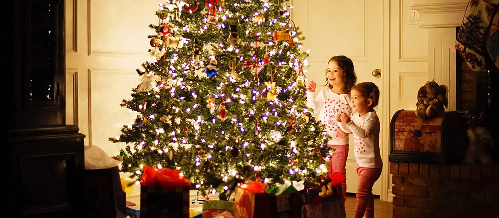 Из-за бага Древо Эрд в Elden Ring стало выглядеть как новогодняя ёлка. Геймеры говорят, так стало даже лучше