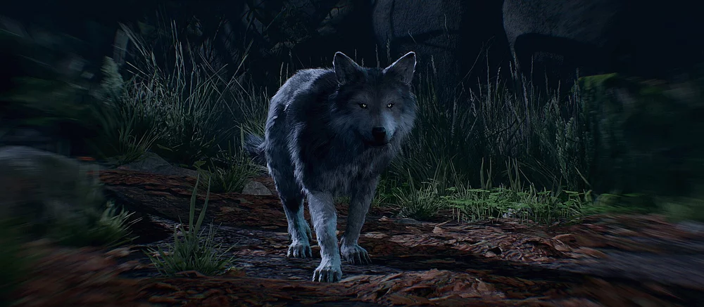 10 вещей, которые нужно сделать в Baldur's Gate 3