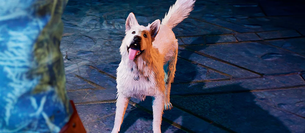 Как найти собаку по кличке Шкряб в Baldur's Gate 3 — как приручить пса и поиграть с ним в мяч