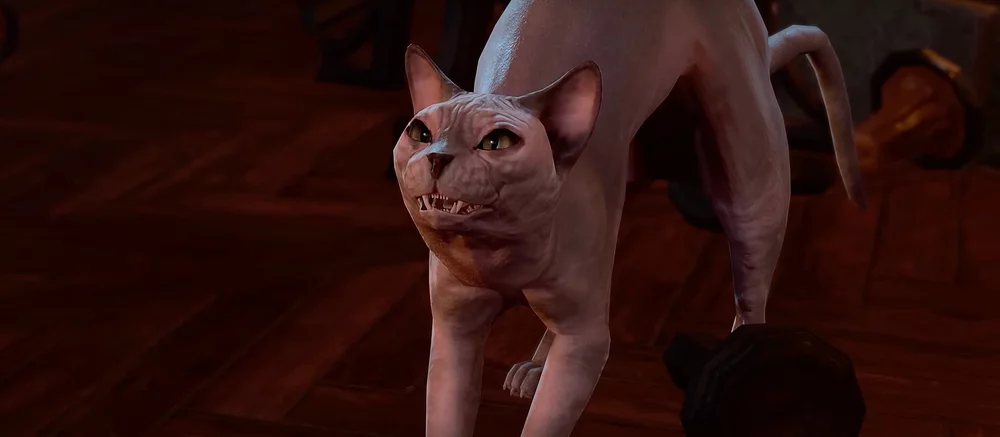 Как разговаривать с животными в Baldur's Gate 3 — заклинания, зелья и смена формы