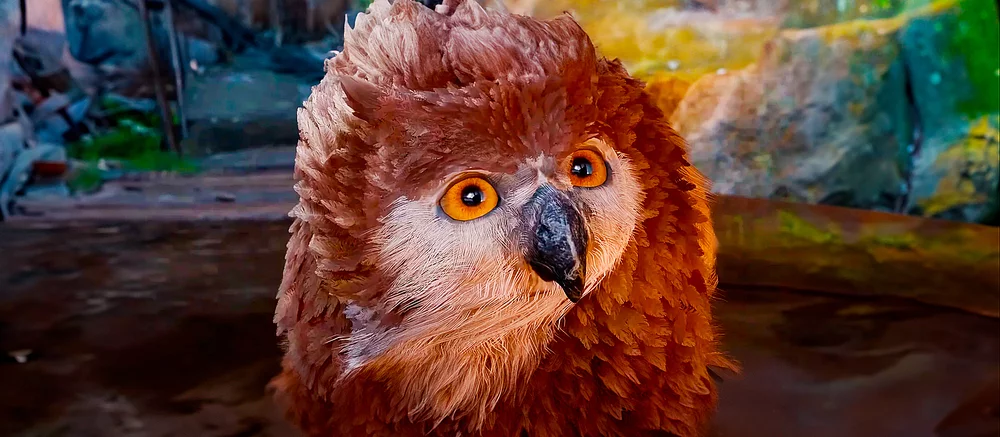 Как спасти детёныша медвесыча в Baldur's Gate 3 — как приручить питомца