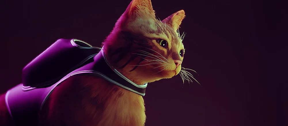 Анонсирован мультфильм по киберпанк-игре Stray