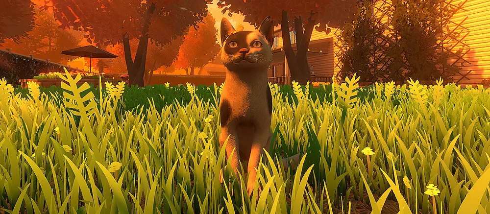 Анонсирован симулятор кошки с трогательным сюжетом про связь между человеком и домашним животным — трейлер