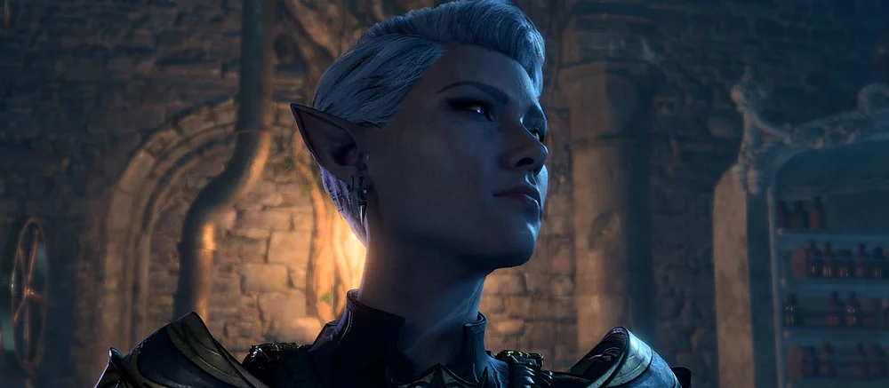 Как найти тайник арфистки в Baldur's Gate 3