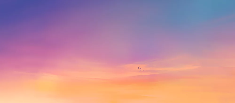 Rockstar объявила дату выхода трейлера GTA 6