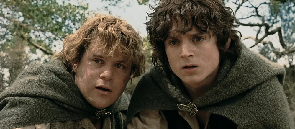 «Я убил здорового паука. Снова»: реальные Фродо и Сэм сыграли в Baldur's Gate 3