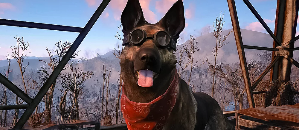 Игрок нашел в Fallout 4 говорящую собаку. Все из-за забавного бага