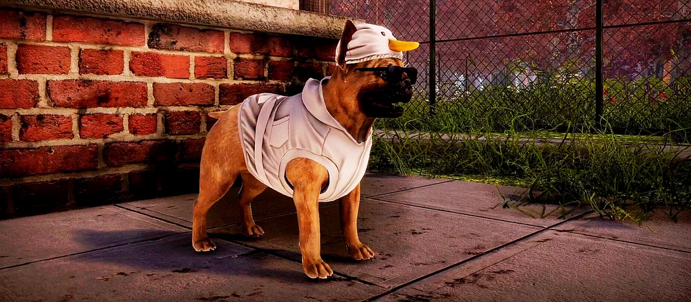 Вышел геймплей нового симулятора приюта для животных с открытым миром Animal Shelter 2