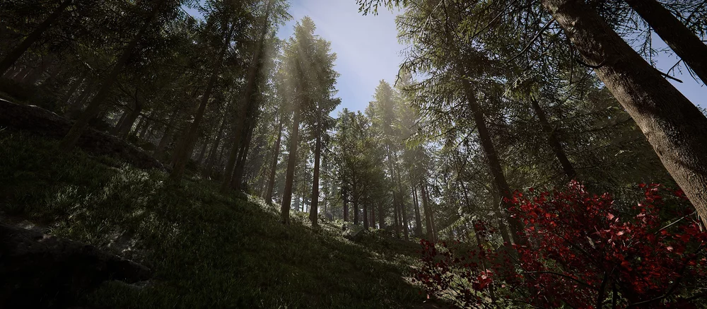 Появился трейлер релизной версии Sons of the Forest, которая выйдет уже совсем скоро