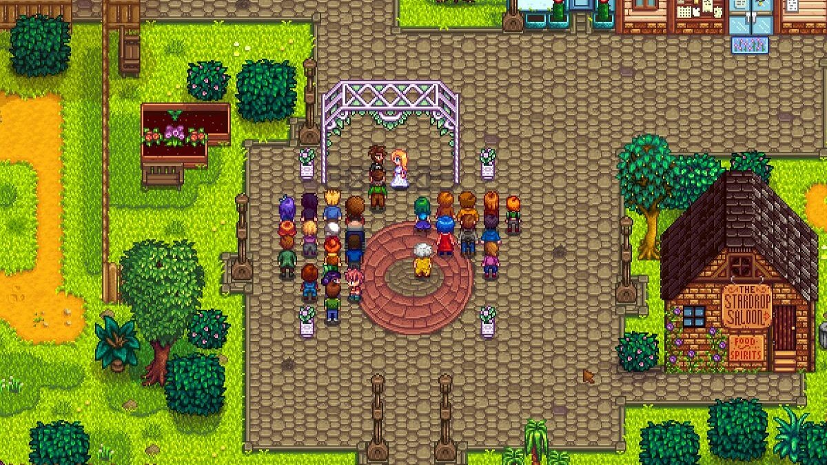 Stardew valley spacecore. Шейн стардев Валлей. Стардью Вэлли Шейн. Стардью Валли свадьба. Stardew Valley брак.