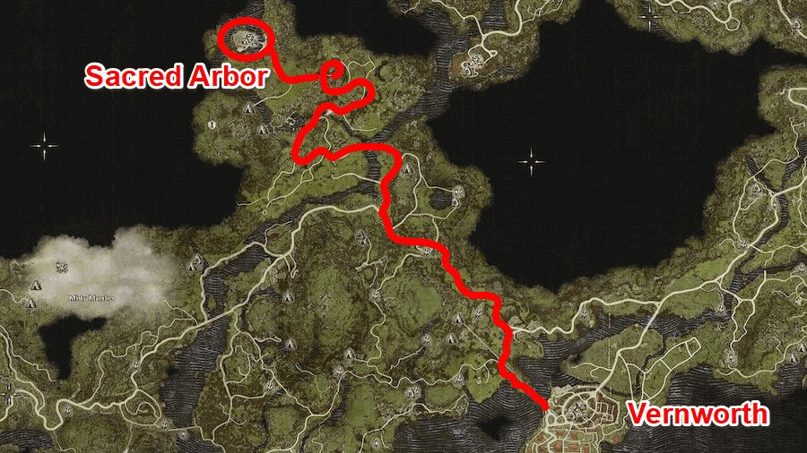 
          Интерактивная карта Dragon's Dogma 2: ключевые места и локации в игре
        