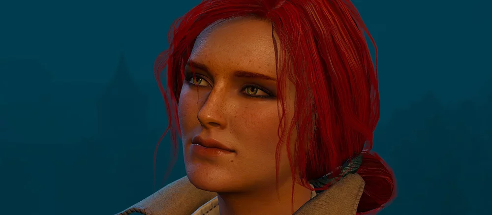 В Baldur's Gate 3 добавили Трисс, Кейру Мец, Эмгыра и других героев «Ведьмака». Спасибо моддерам