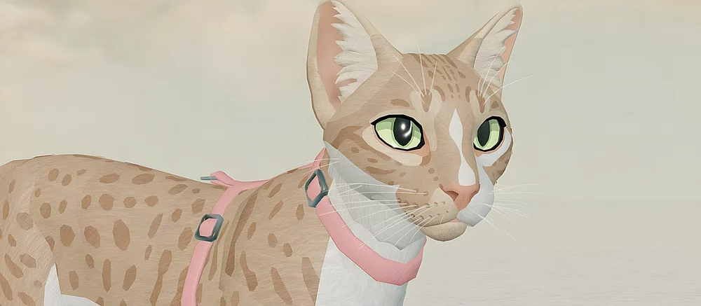 Коды для Warrior Cats Roblox (Коты-воители) — август 2025