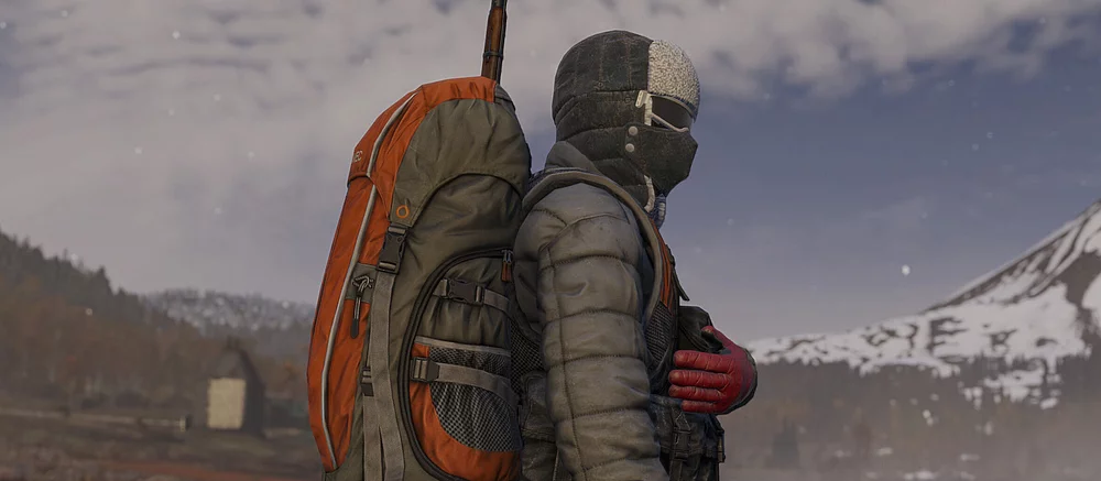 Создатели DayZ поделились подробностями нового DLC с зимней картой