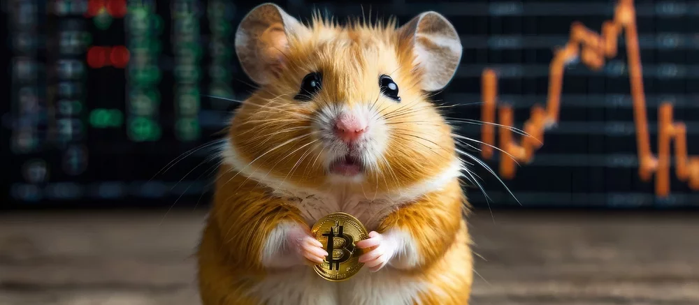 Ежедневные комбо карточек в Hamster Kombat — как получить 5 миллионов монет