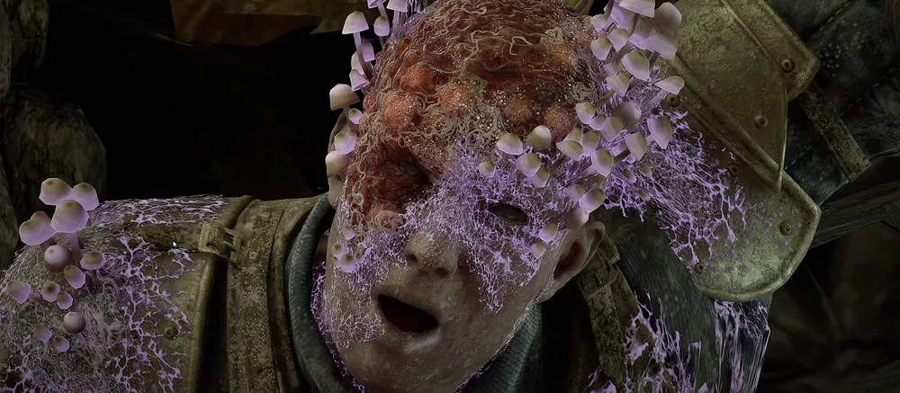 Xbox случайно раскрыла дату выхода RPG Avowed от авторов Fallout: New Vegas