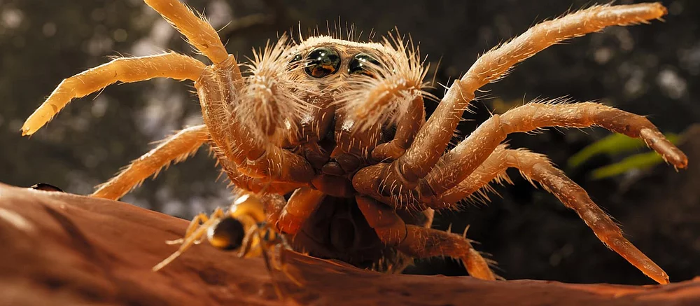 Появились системные требования фотореалистичного симулятора муравья, в котором можно создать армию и завоевывать территории