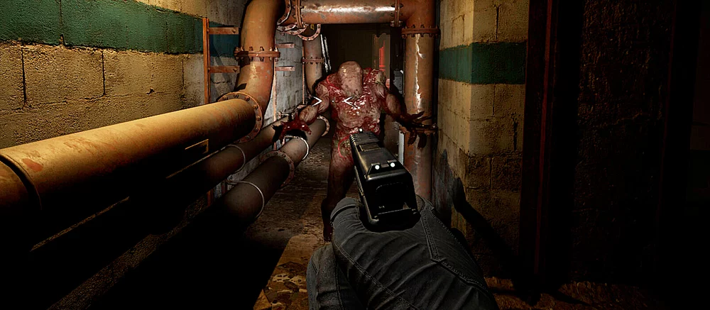 В Steam вышел новый хоррор-шутер с несколькими концовками про выживание среди мутантов. Игру отдают за 396 pуб