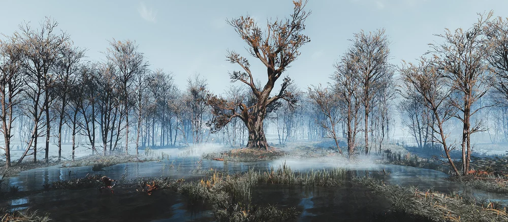 «Великолепные снимки» — парень впечатлил CD Projekt RED мрачными фотографиями, которые он сделал в The Witcher 3