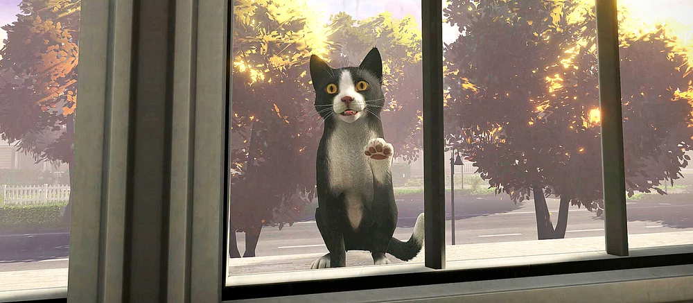 Вышел трейлер с датой выхода симулятора кошки с трогательным сюжетом и открытым миром