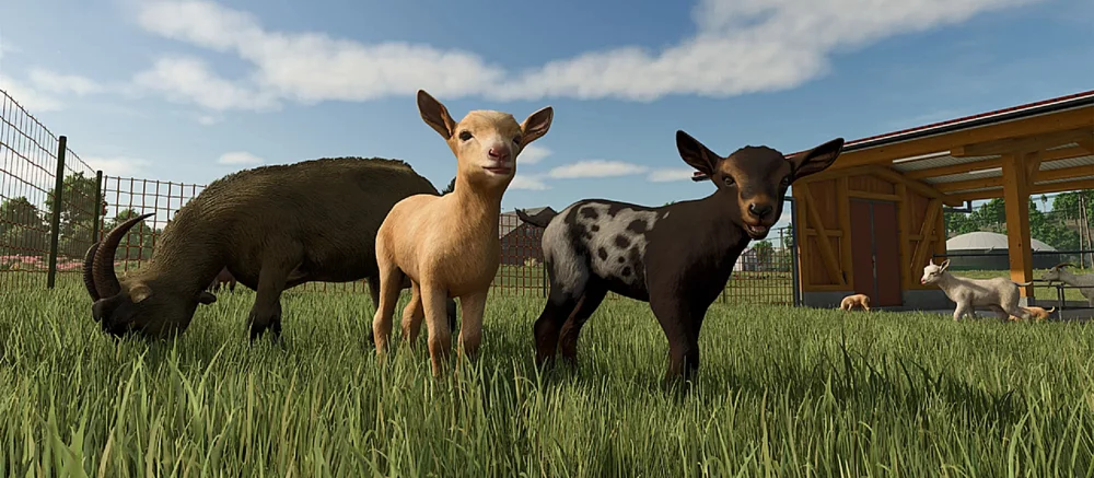 Как разводить коз в Farming Simulator 25: гайд по уходу и получению прибыли