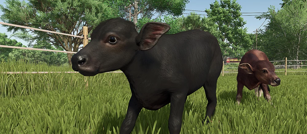 Как разводить водяных буйволов в Farming Simulator 25: гайд по уходу и получению прибыли