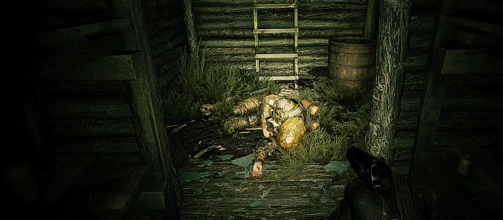 Маковое поле в Stalker 2: как пройти и отыскать икону