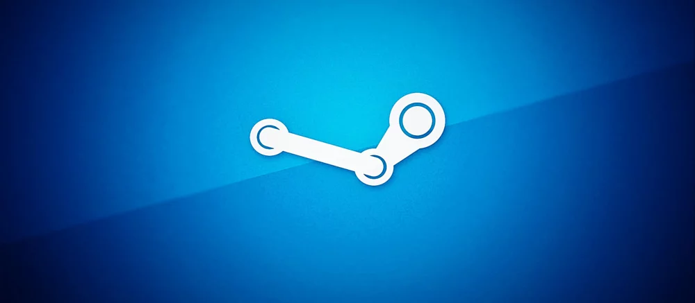 Не только «Госуслуги»: в Госдуме предложили три способа авторизации в Steam и других игровых сервисах