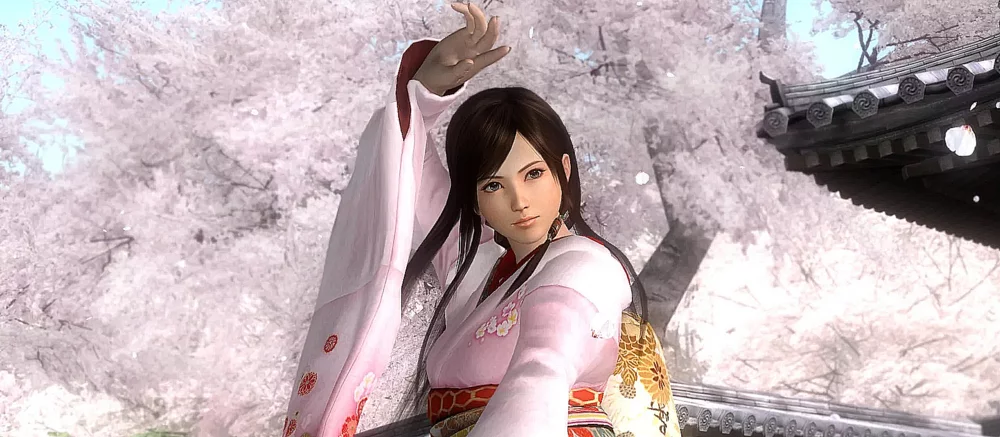 Трудности для разработчиков японских эротических видеоигр: блокировка международных переводов