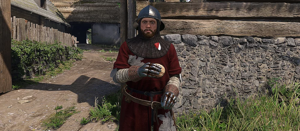 Мыши в Kingdom Come: Deliverance 2 — прохождение квеста