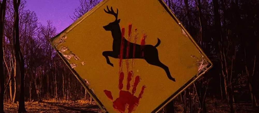 Ещё одно переосмысление оригинальной истории, на этот раз про Бэмби