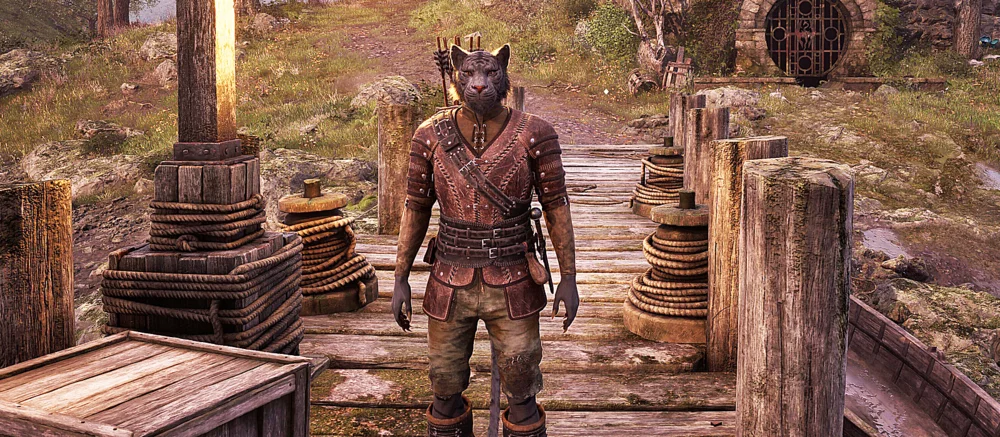 В сети показали, как The Elder Scrolls 4: Oblivion Remastered работает на Steam Deck и других портативках