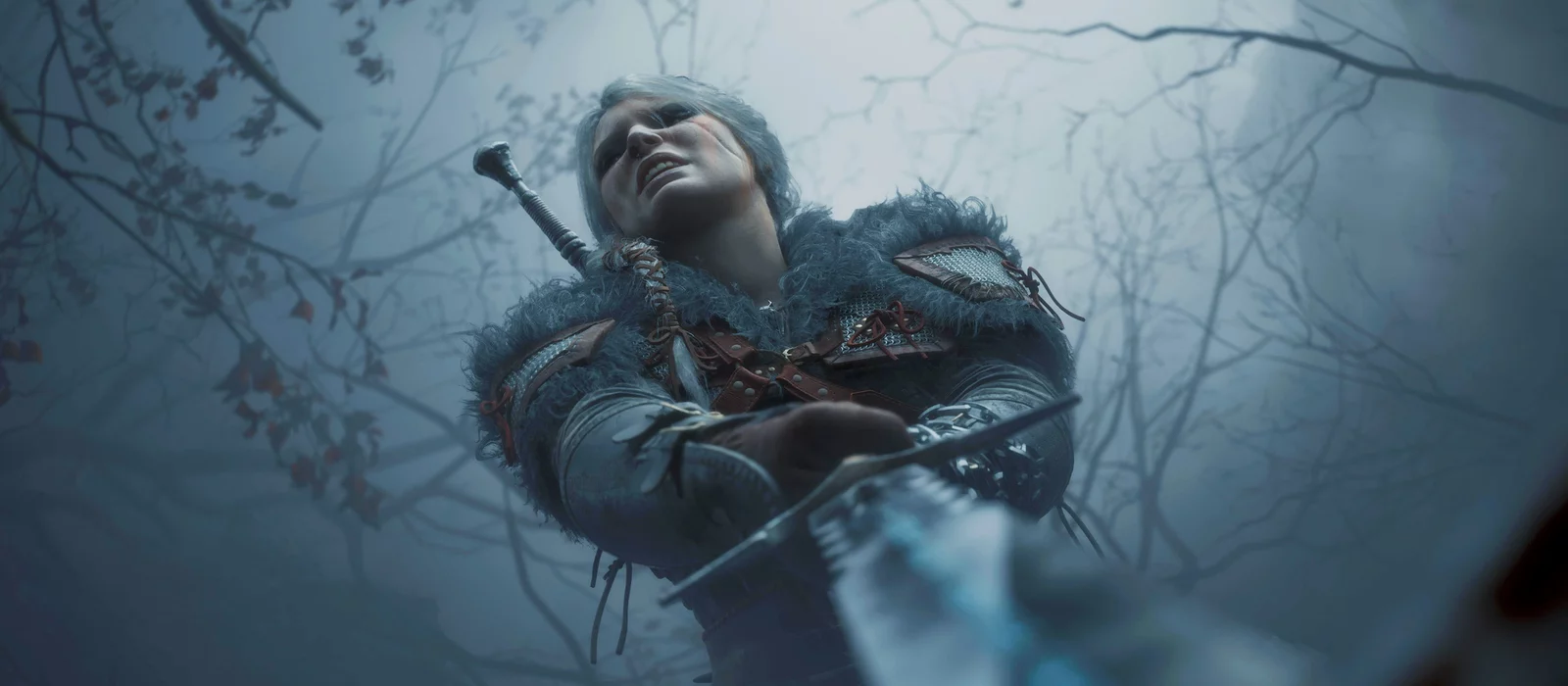 CD Projekt RED проговорилась, что в The Witcher 4 будет другое управление